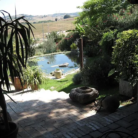 Agriturismo La Collinetta Brecciarola